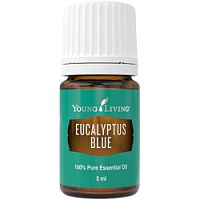 Фото Янг Ливинг Эфирное масло Эвкалипт голубой/ Young Living Eucalyptus blue, 5 мл